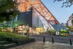 DSC08010-HDR