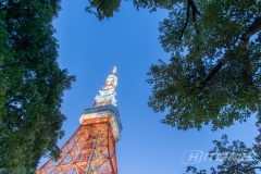 DSC08016-HDR