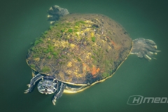 A World Top On A Turtle