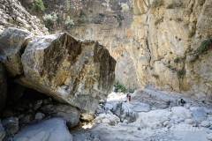 Giant Rock