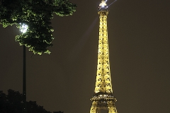 Good Night, Paris
