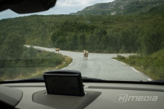 Norwegian Traffic Control