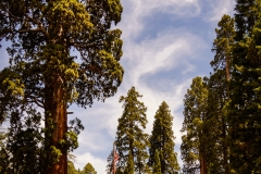 Sequoia National Park