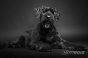 DSC01233-Edit