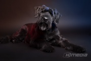 DSC01235-Edit